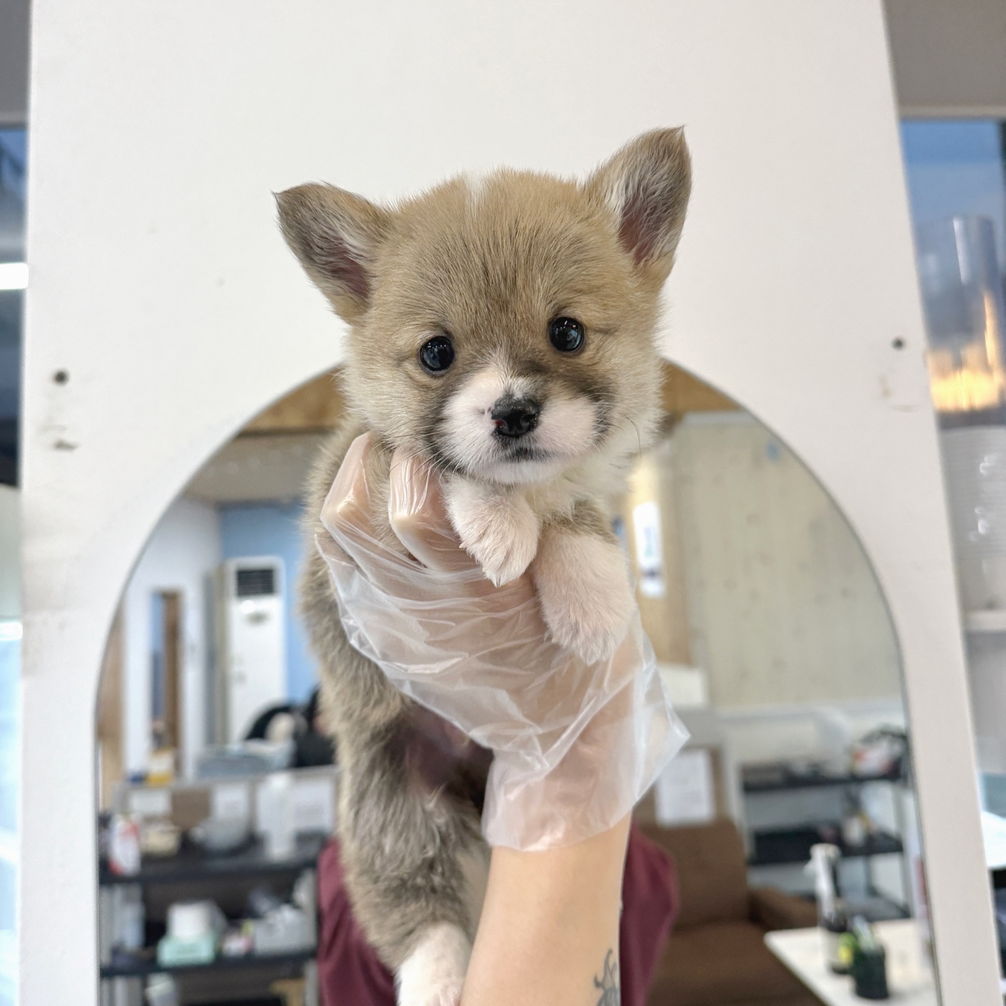 Ȯ�� �̹���