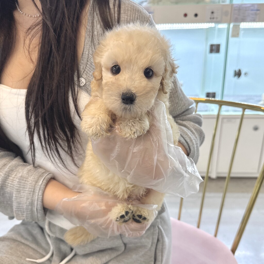 Ȯ�� �̹���