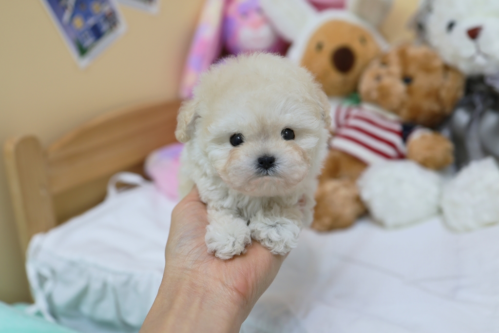 Ȯ�� �̹���