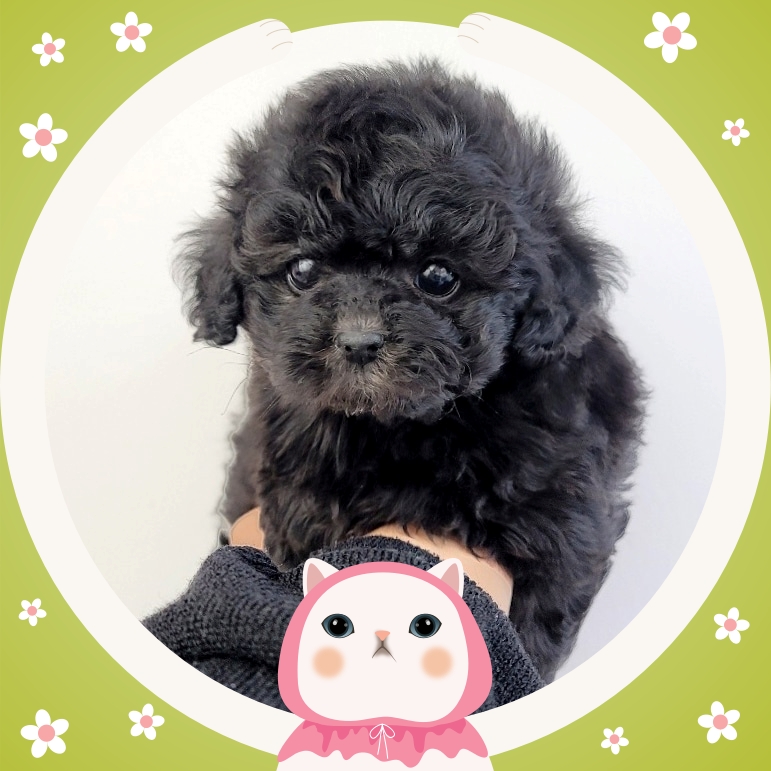 Ȯ�� �̹���