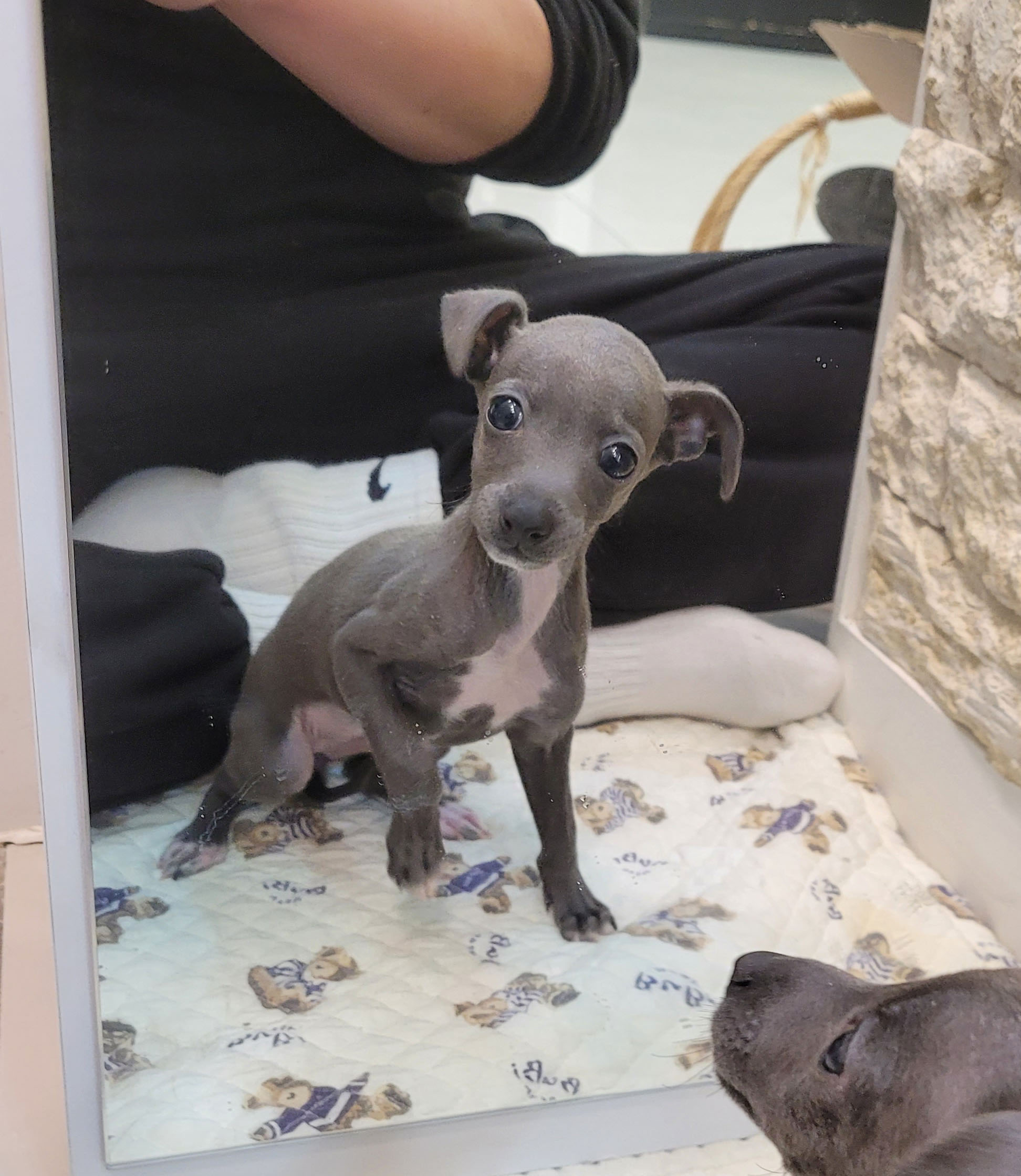 Ȯ�� �̹���