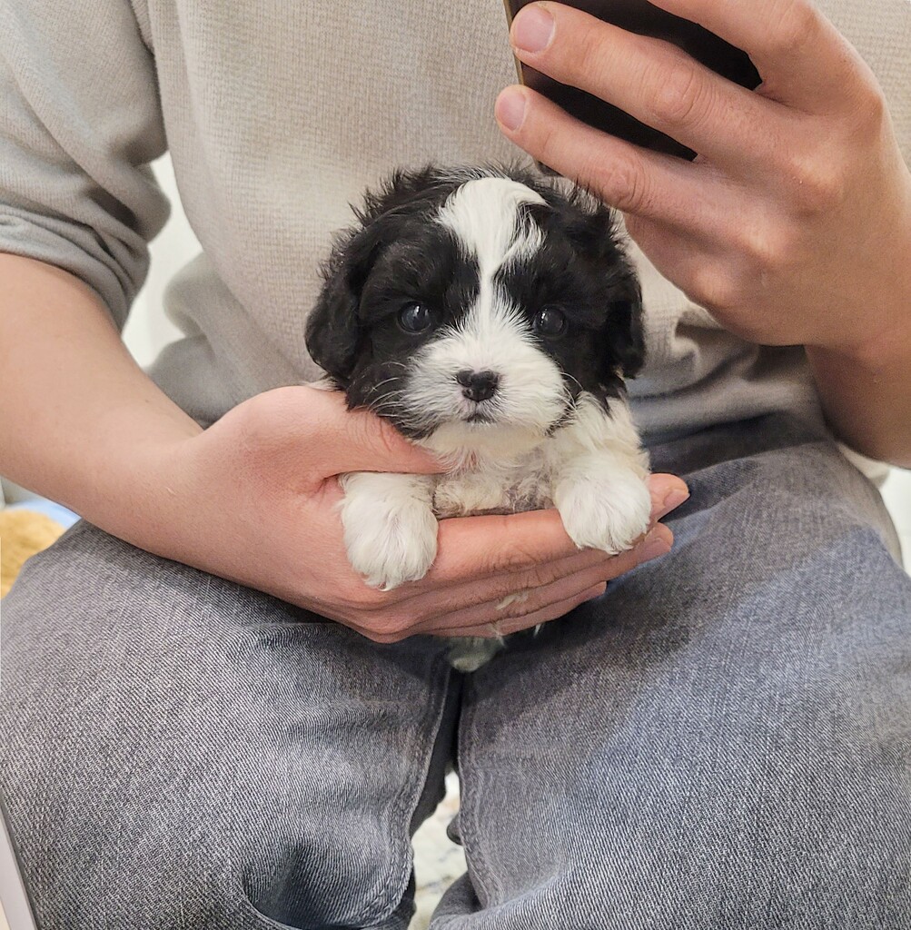 Ȯ�� �̹���