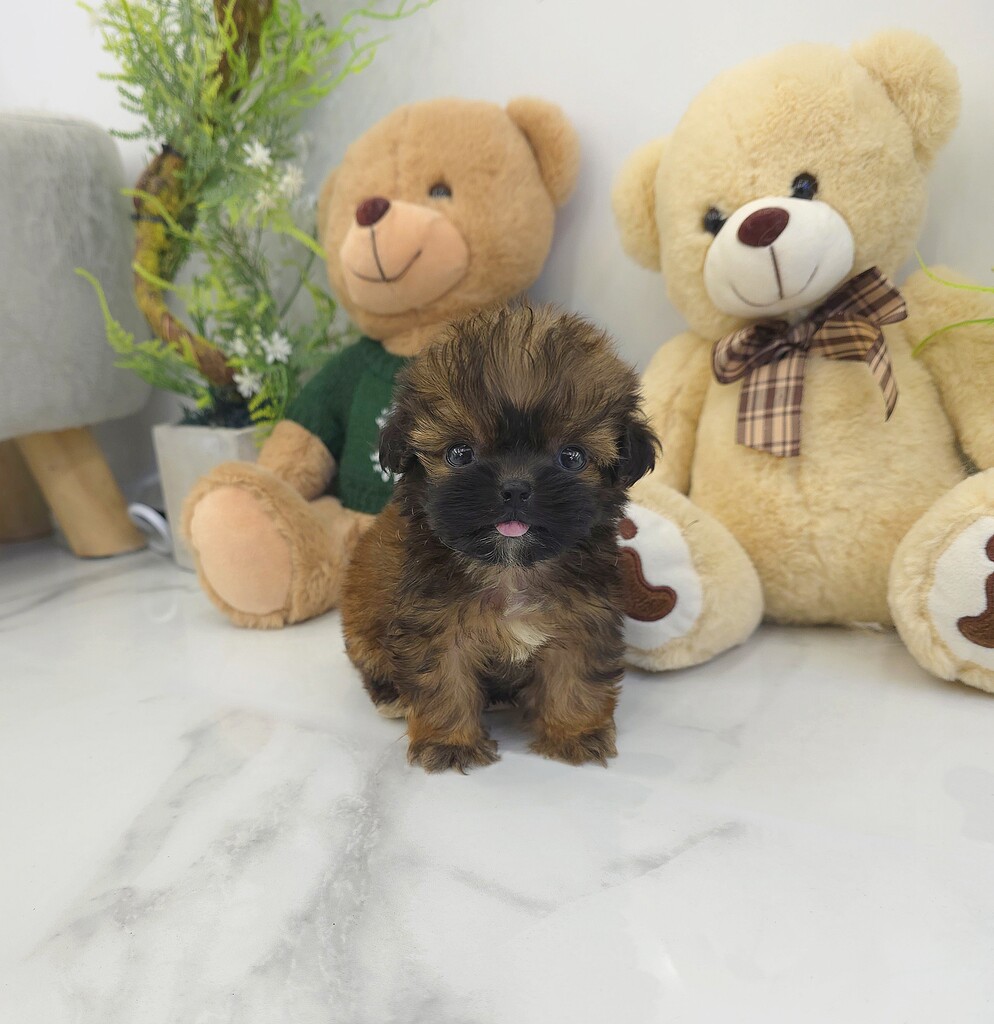 Ȯ�� �̹���