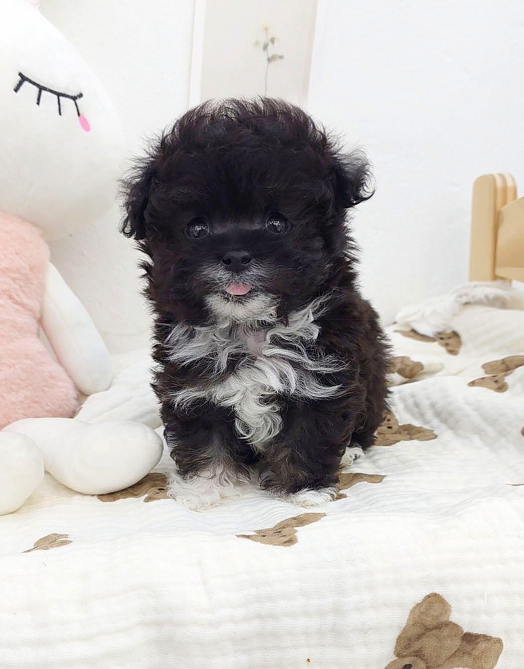 Ȯ�� �̹���