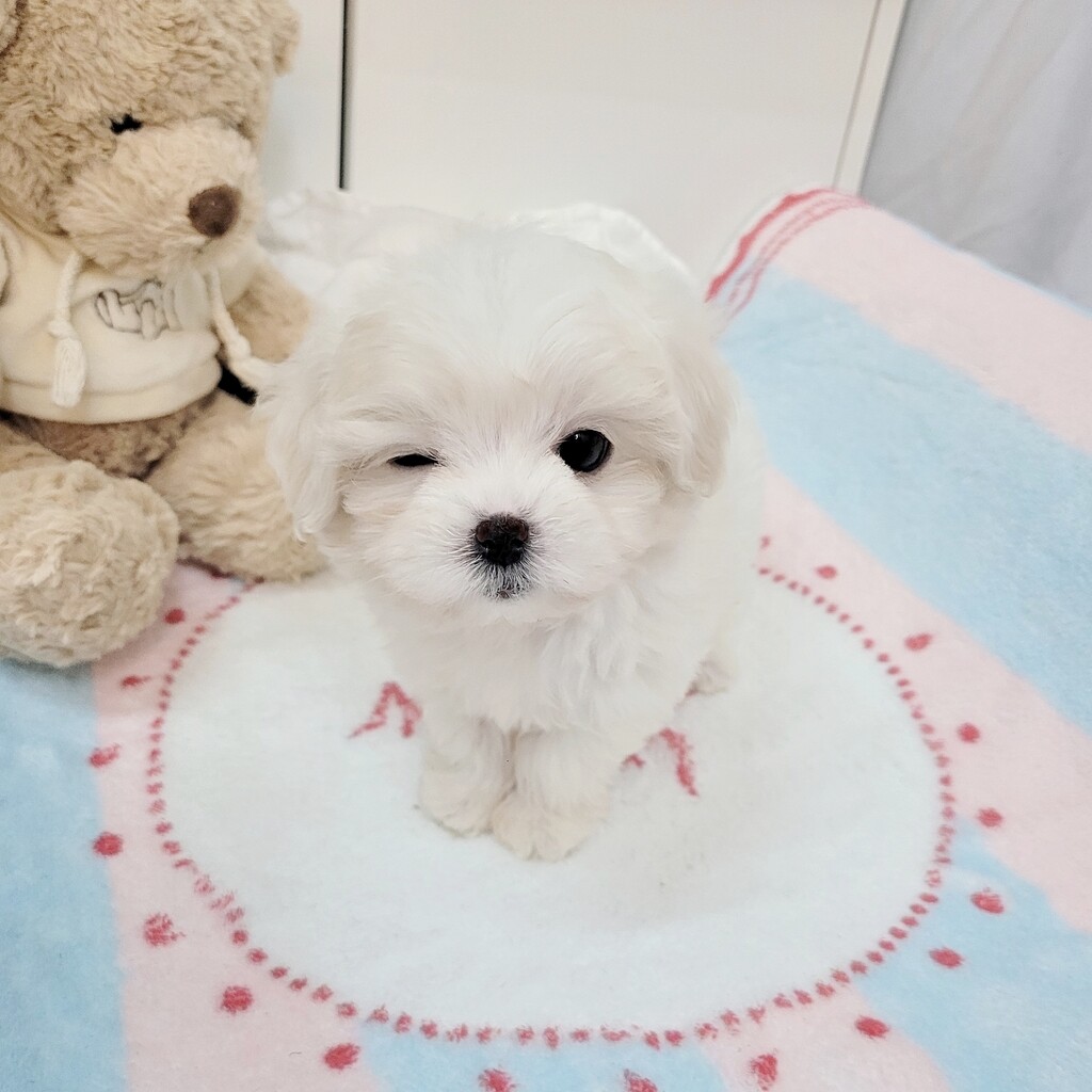 Ȯ�� �̹���