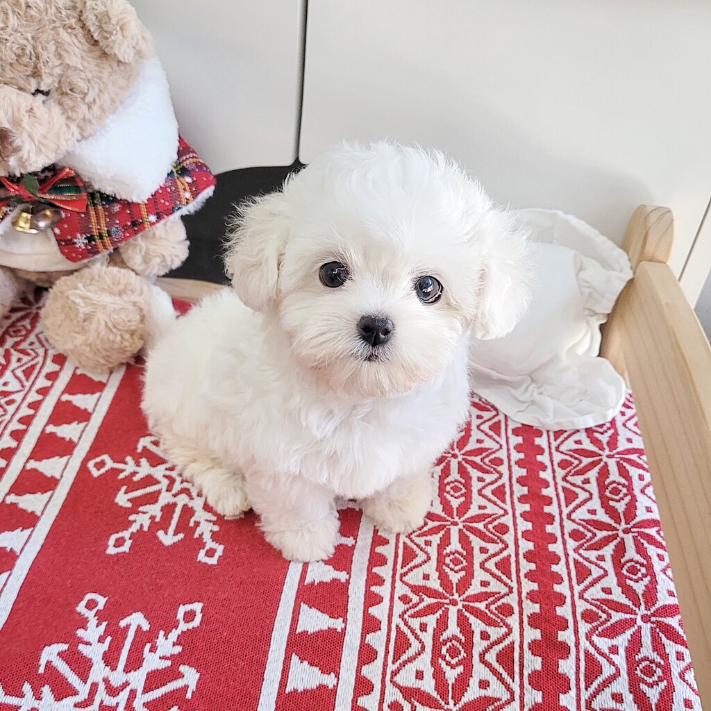 Ȯ�� �̹���