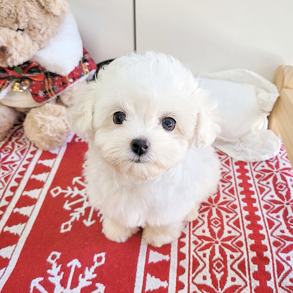 Ȯ�� �̹���