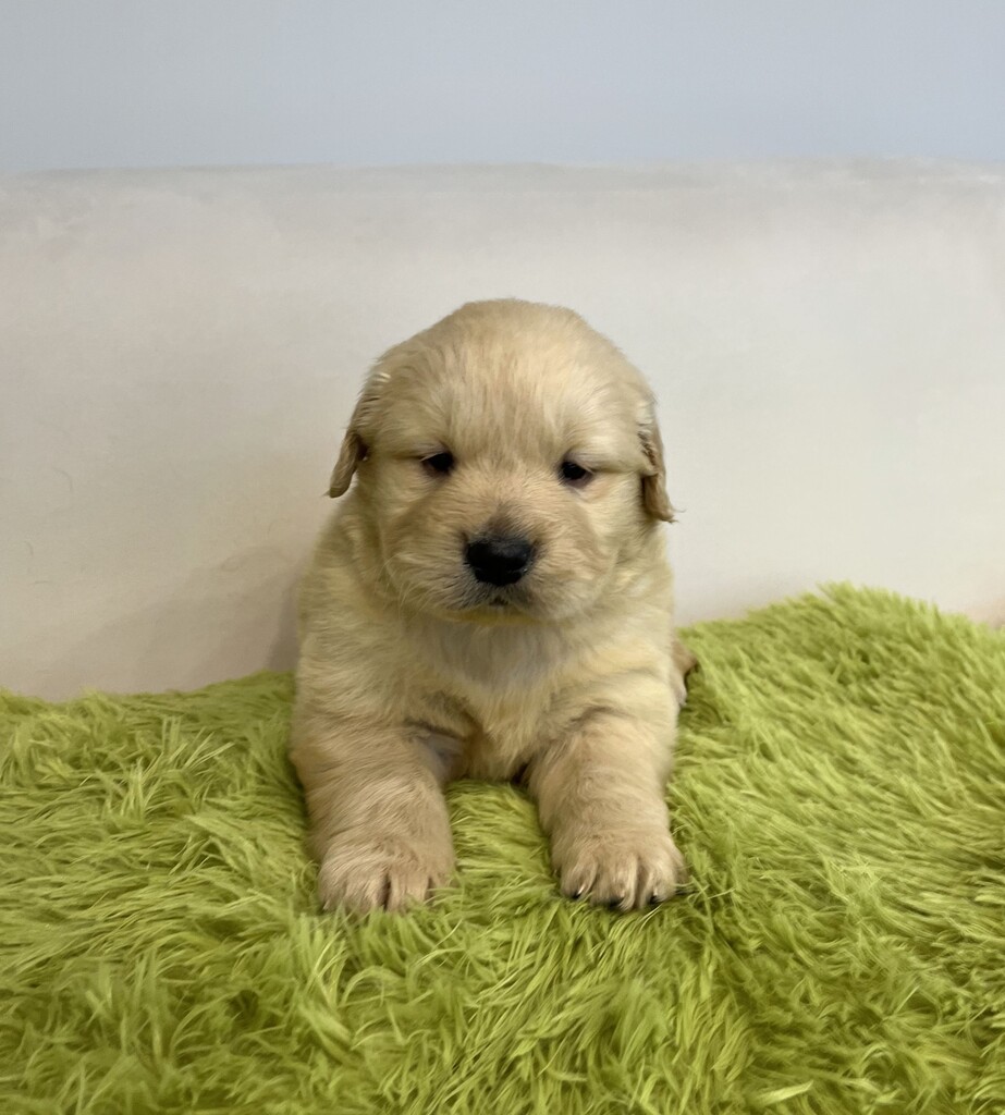 Ȯ�� �̹���