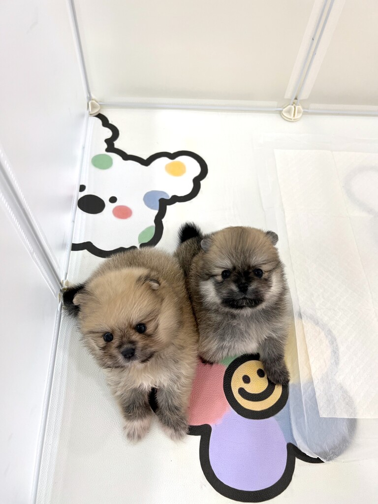 Ȯ�� �̹���