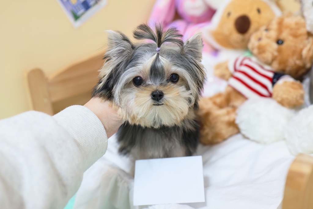 Ȯ�� �̹���