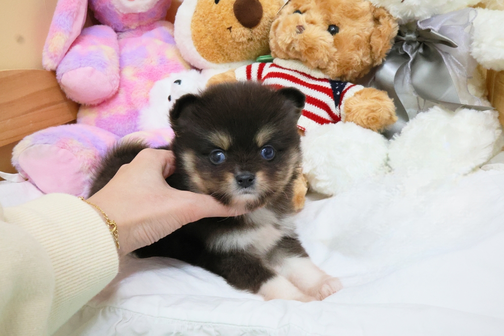 Ȯ�� �̹���