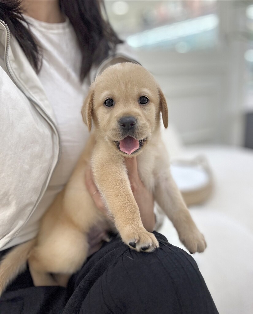 Ȯ�� �̹���