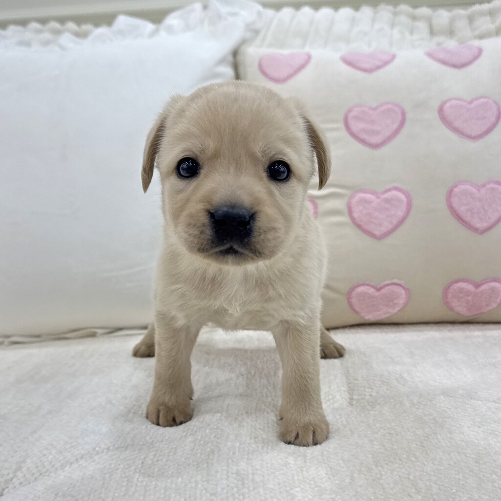 Ȯ�� �̹���