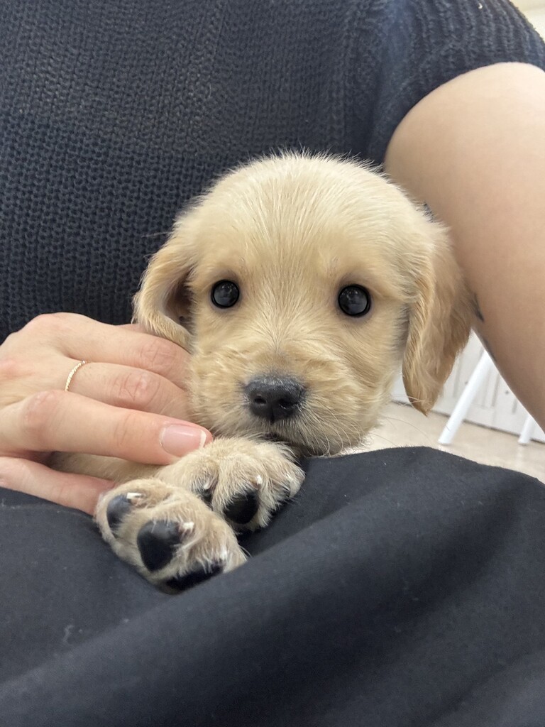 Ȯ�� �̹���