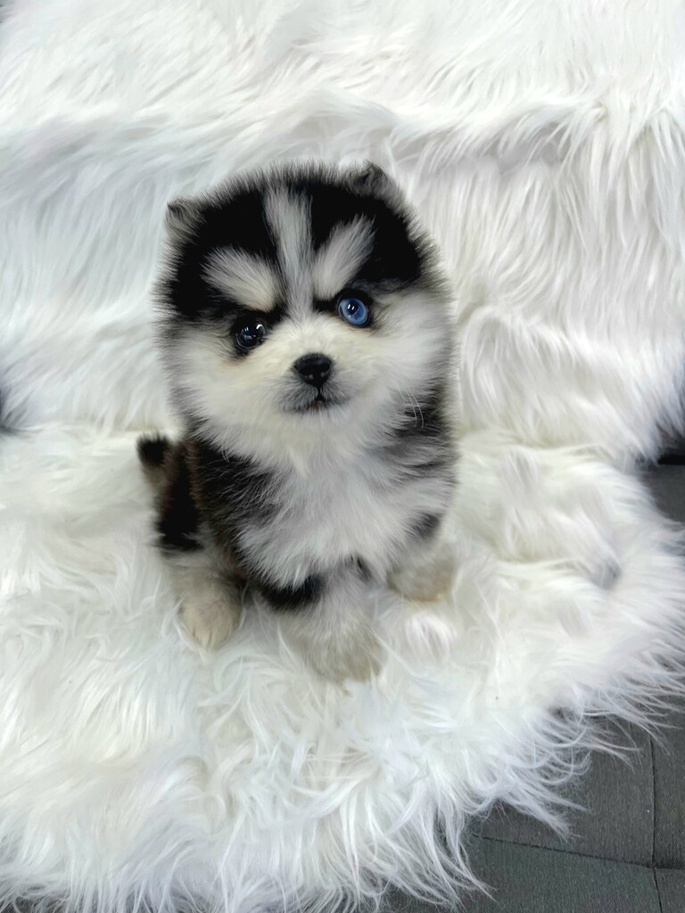 Ȯ�� �̹���