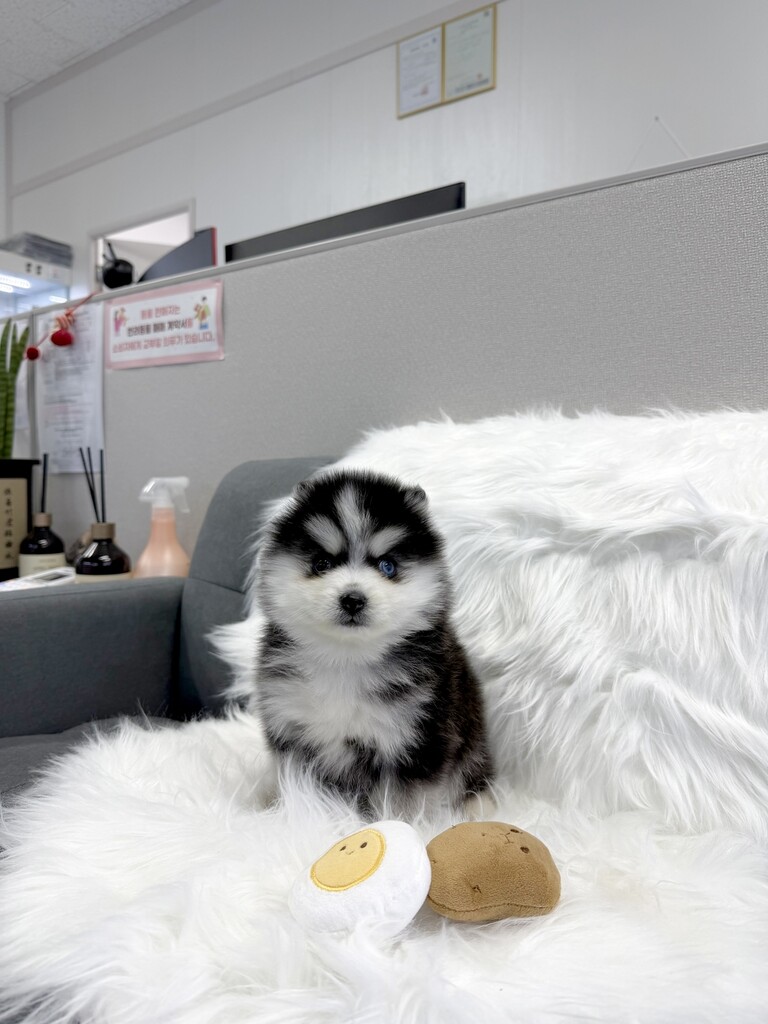 Ȯ�� �̹���