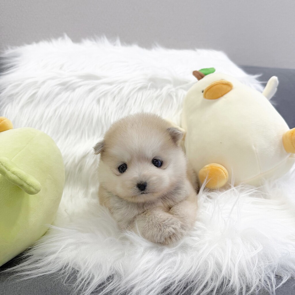 Ȯ�� �̹���