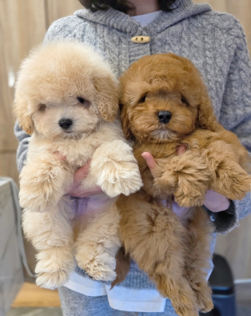 Ȯ�� �̹���