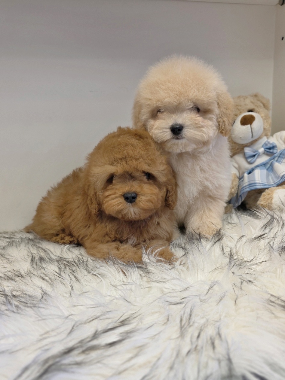 Ȯ�� �̹���