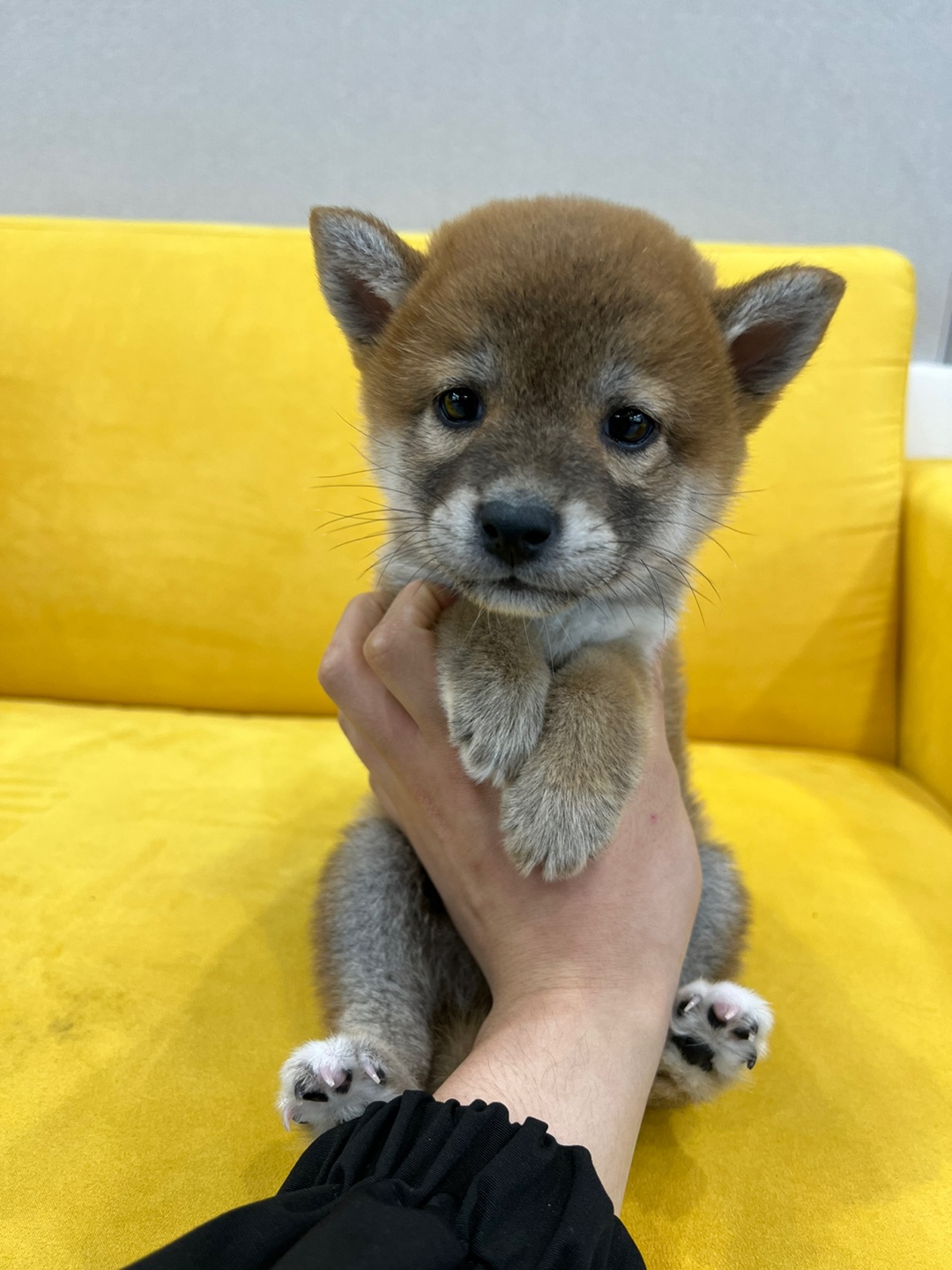 Ȯ�� �̹���