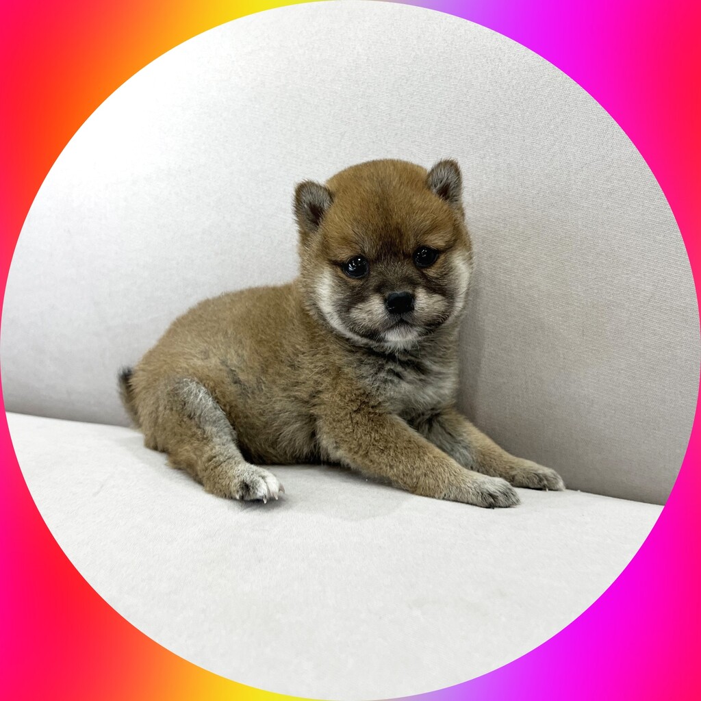 Ȯ�� �̹���