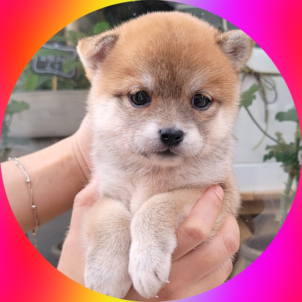 Ȯ�� �̹���