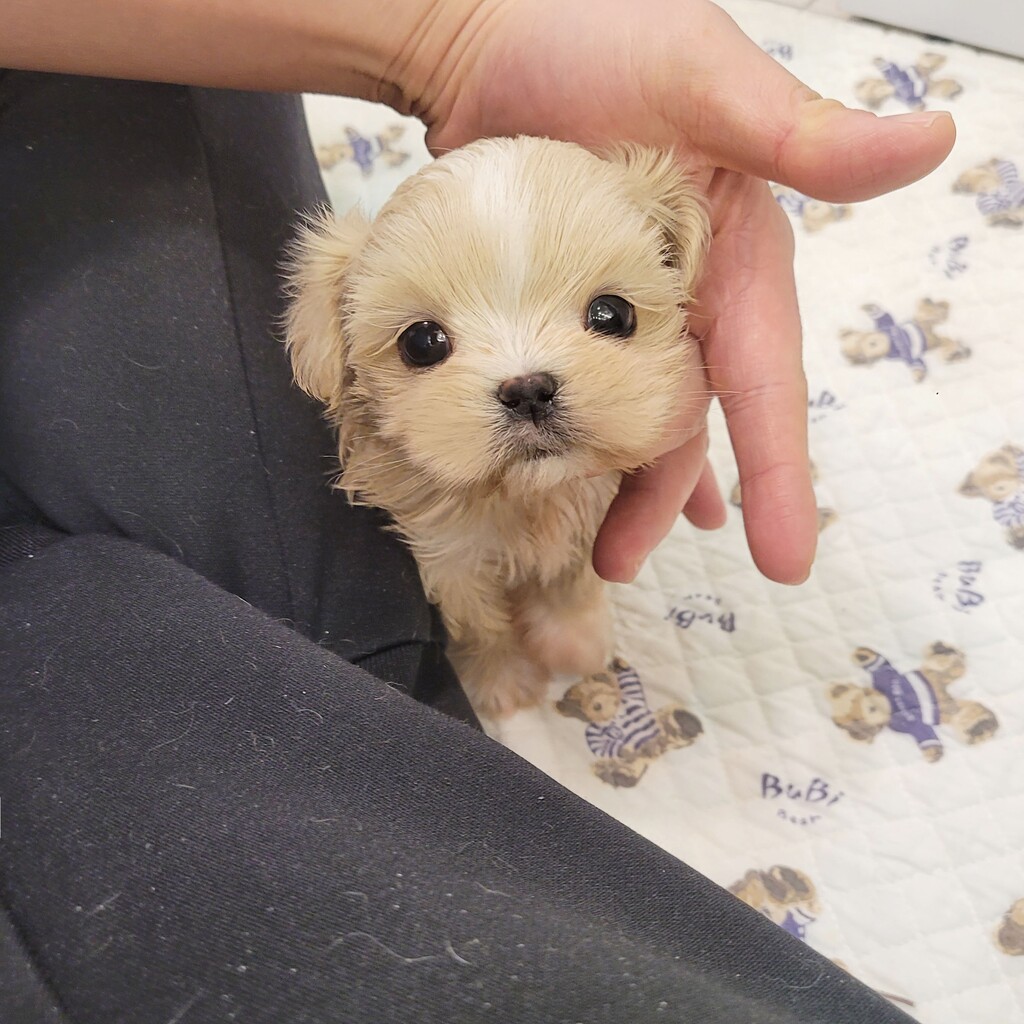 Ȯ�� �̹���