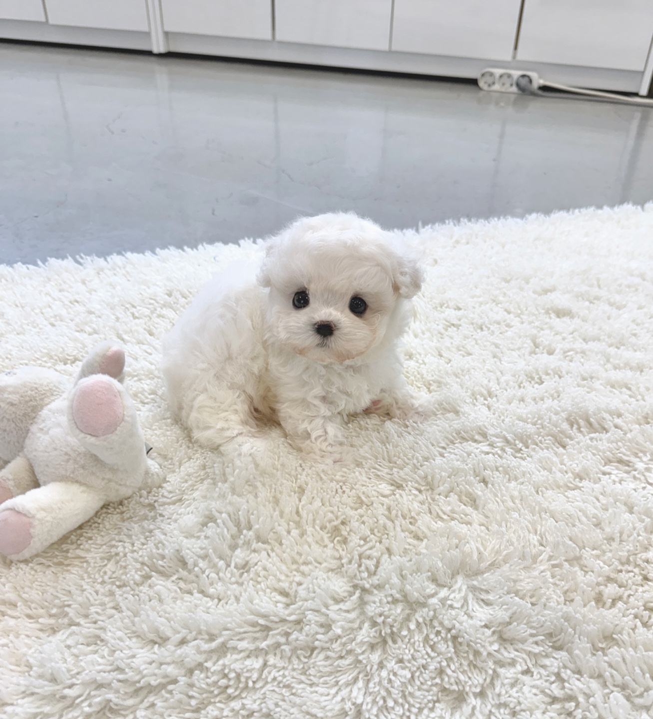 Ȯ�� �̹���