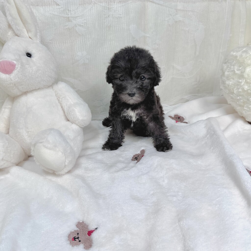 Ȯ�� �̹���