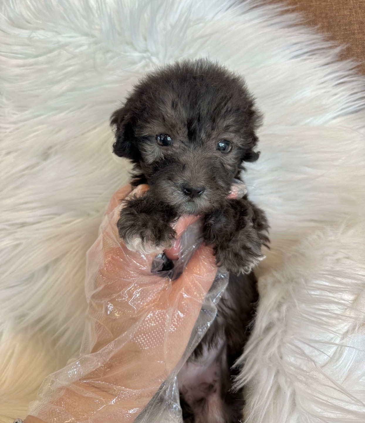 Ȯ�� �̹���