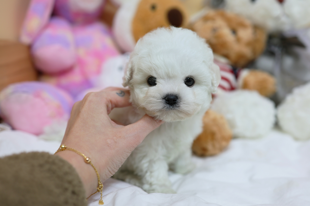 Ȯ�� �̹���