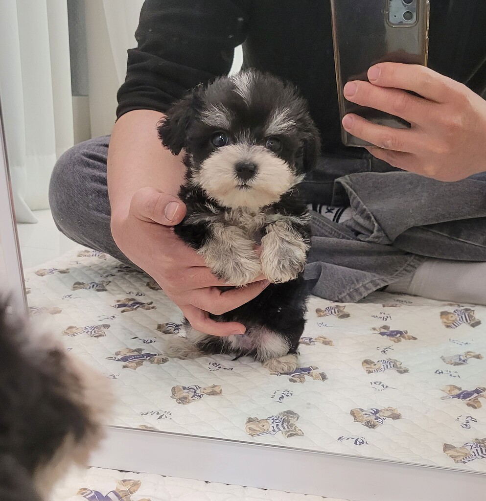 Ȯ�� �̹���