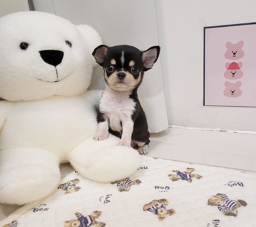 Ȯ�� �̹���