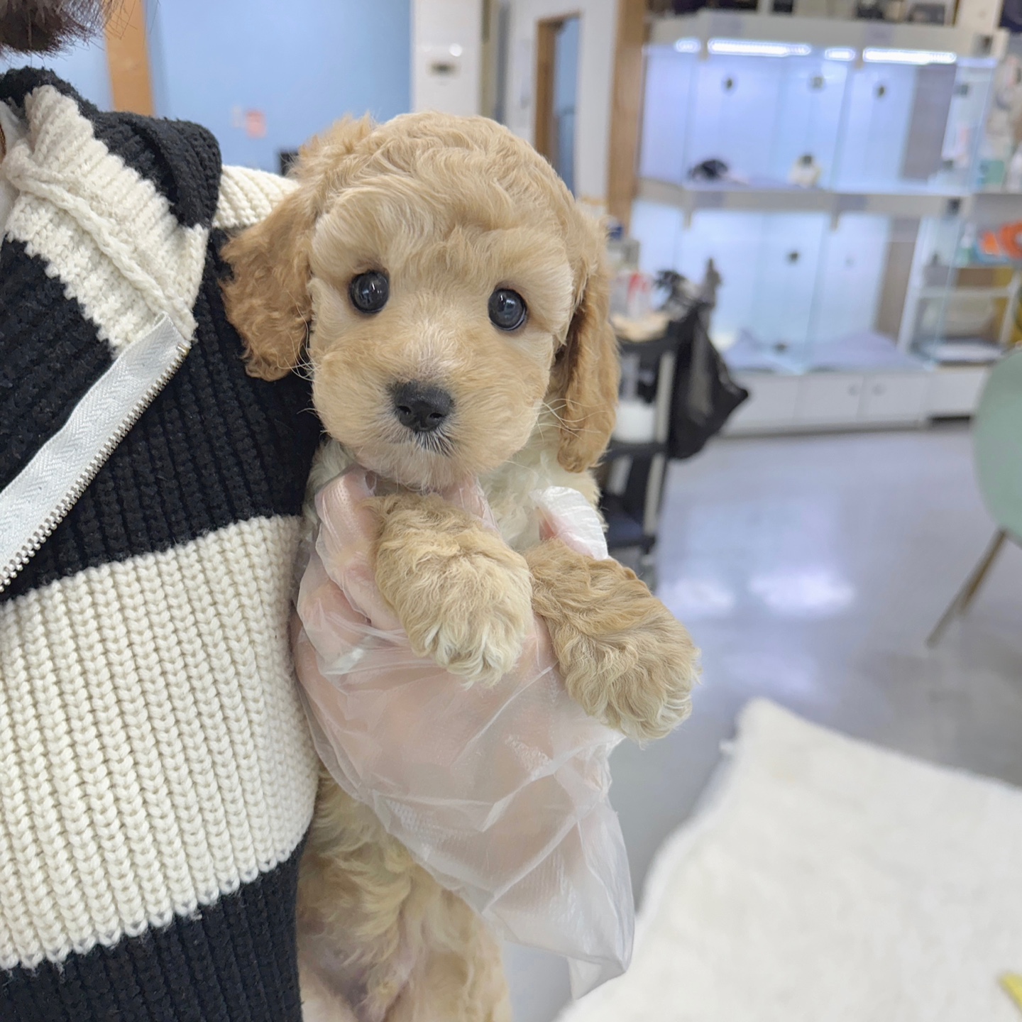 Ȯ�� �̹���