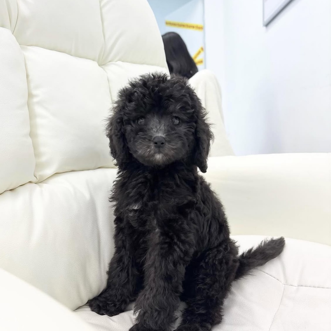 Ȯ�� �̹���