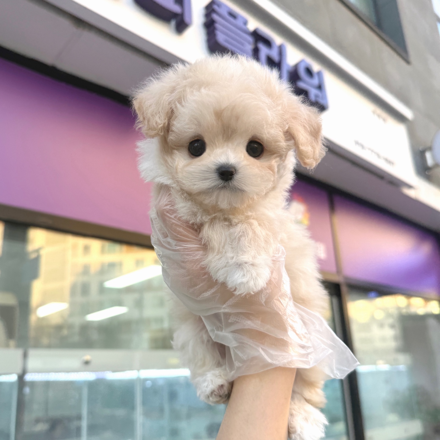 Ȯ�� �̹���