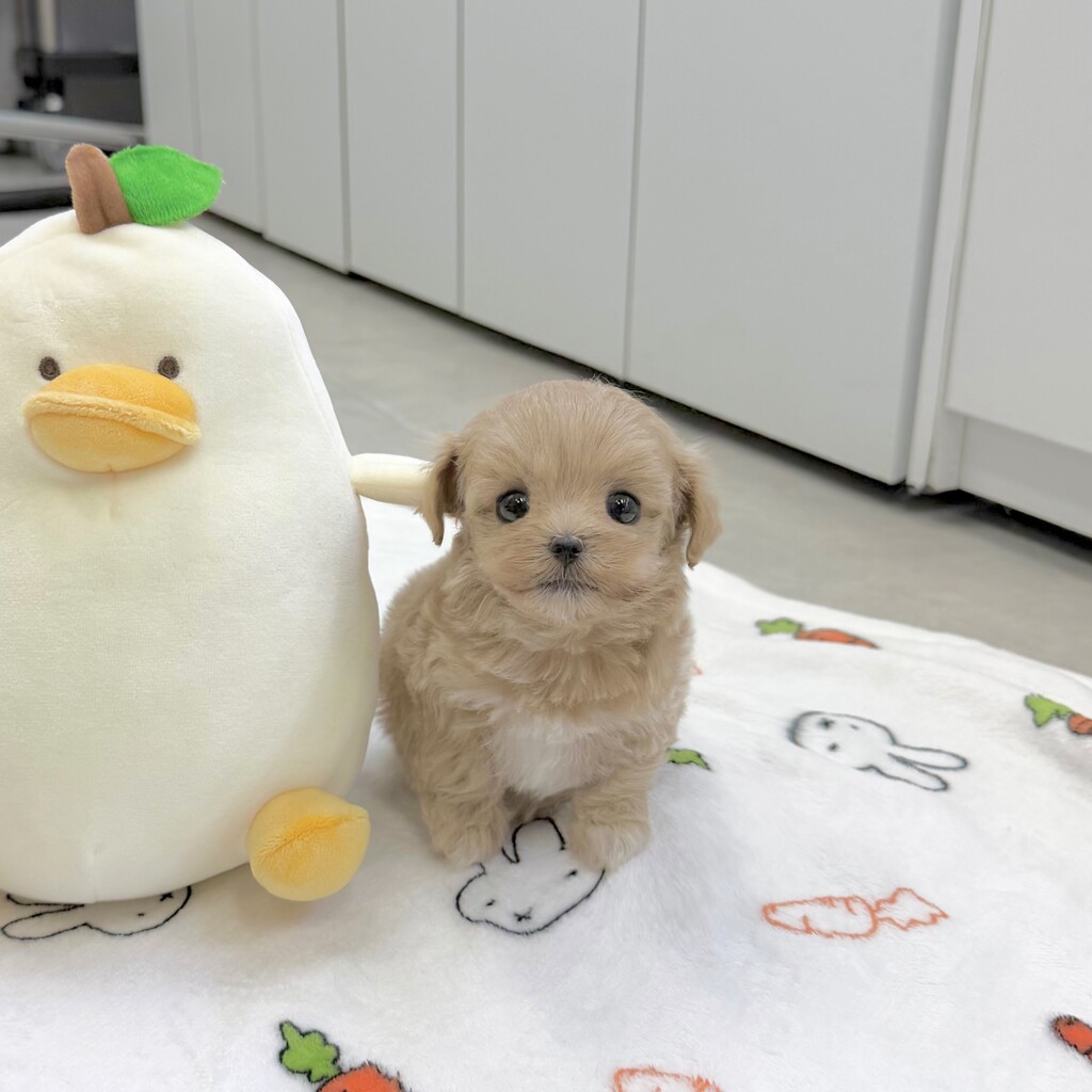 Ȯ�� �̹���