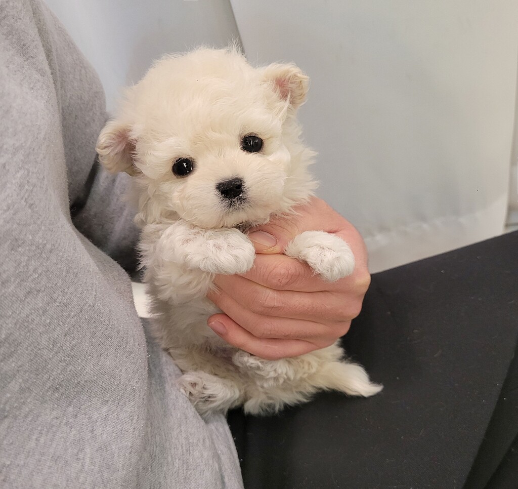 Ȯ�� �̹���