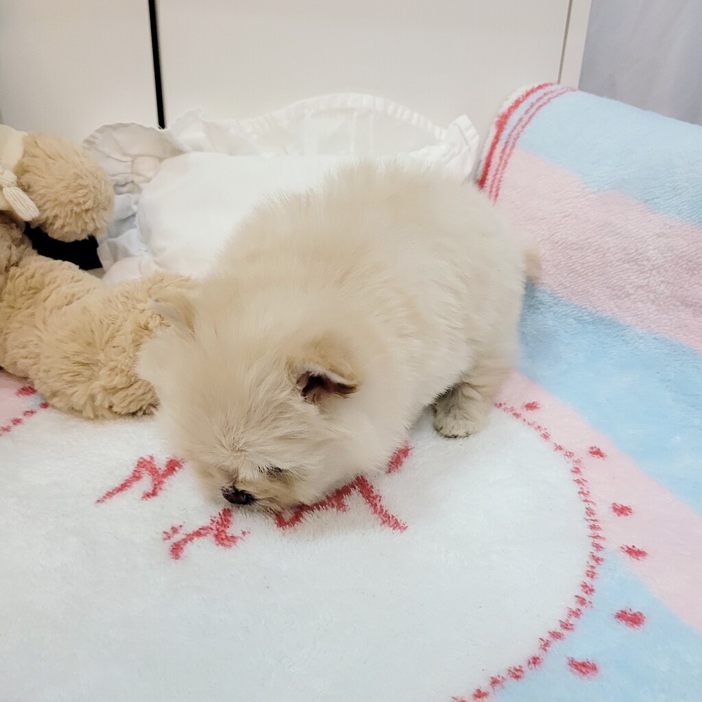 Ȯ�� �̹���