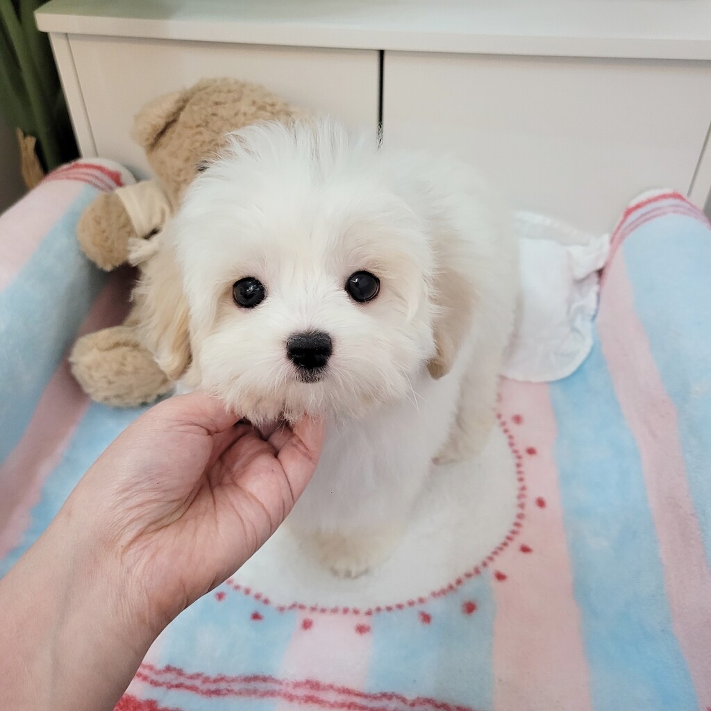 Ȯ�� �̹���