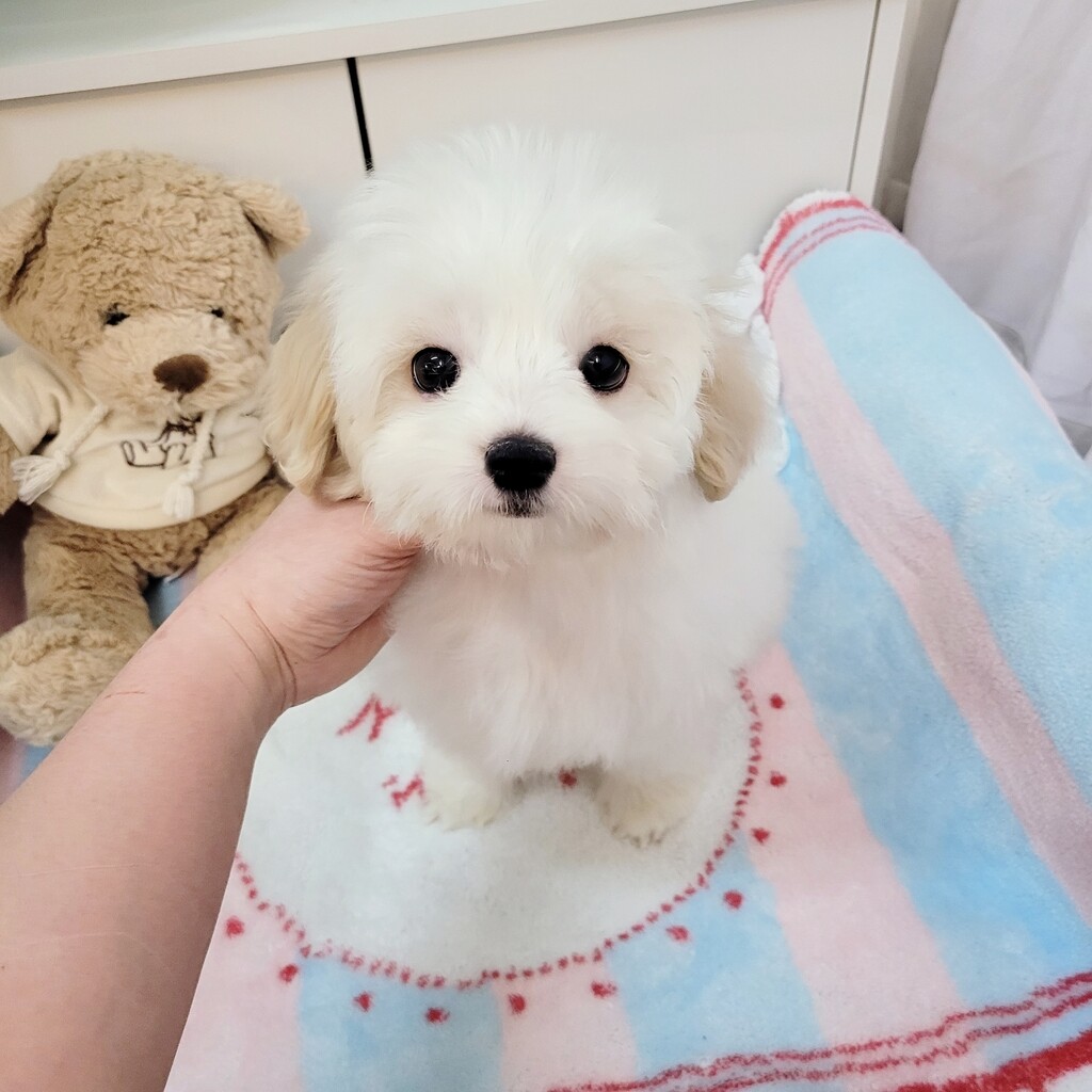 Ȯ�� �̹���