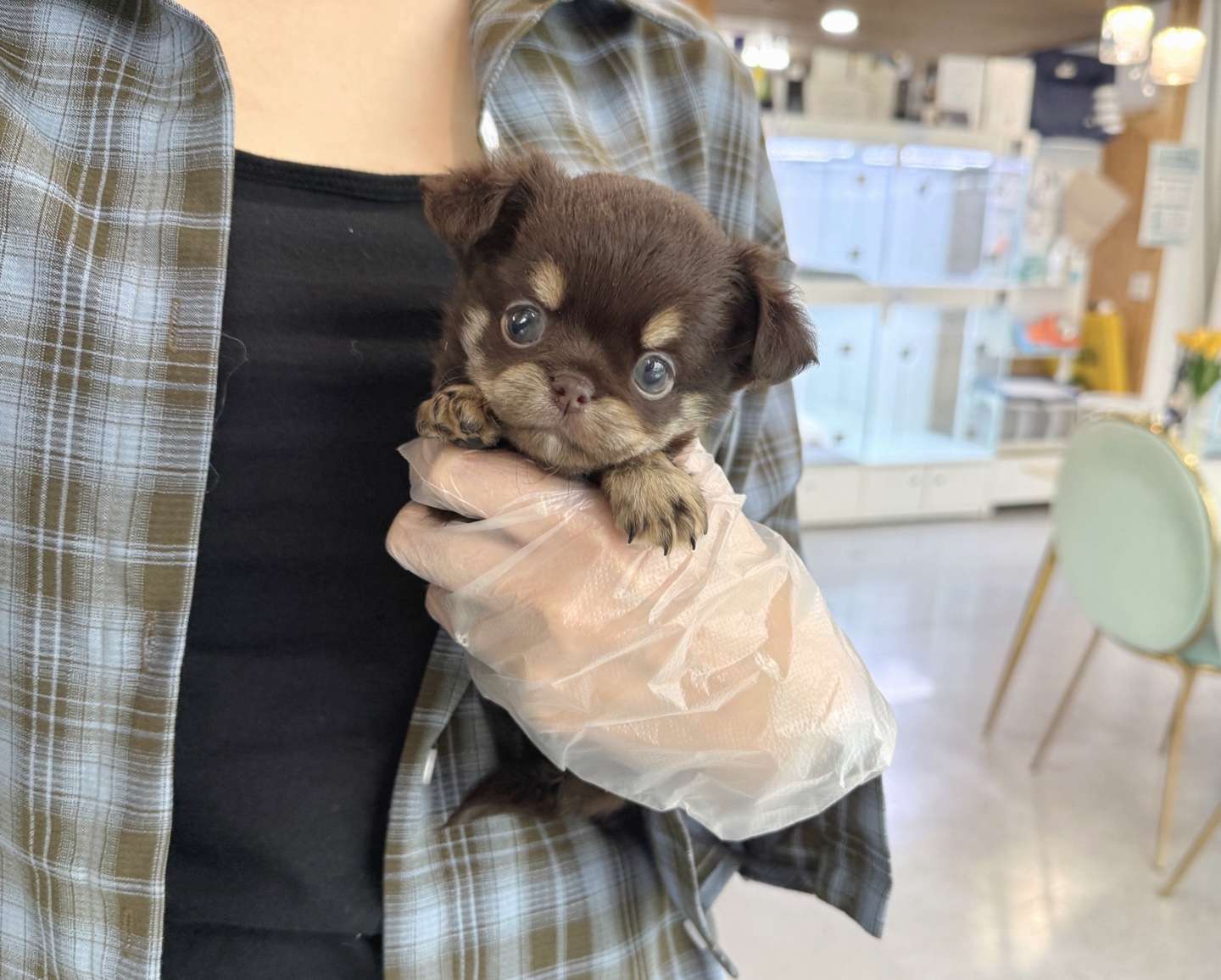 Ȯ�� �̹���