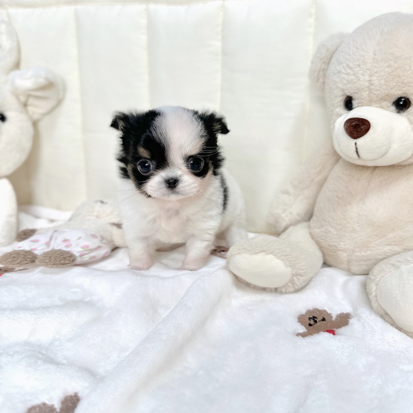 Ȯ�� �̹���