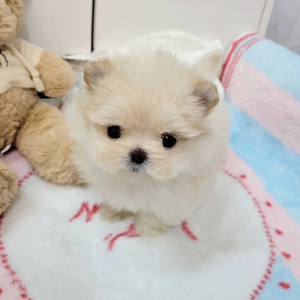 Ȯ�� �̹���