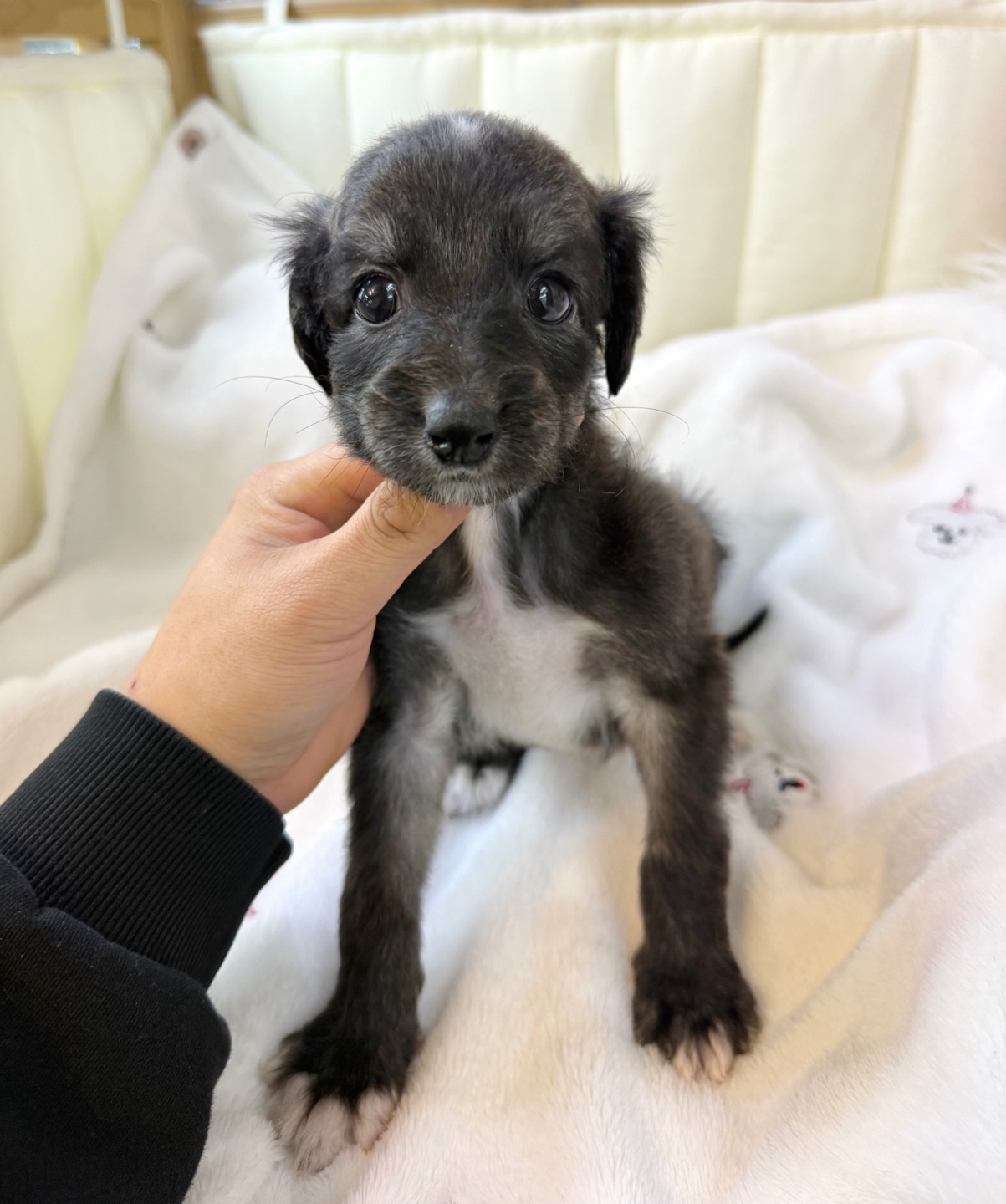 Ȯ�� �̹���