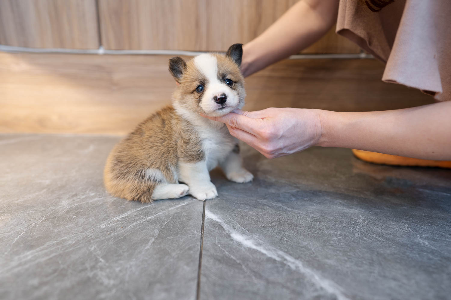 Ȯ�� �̹���