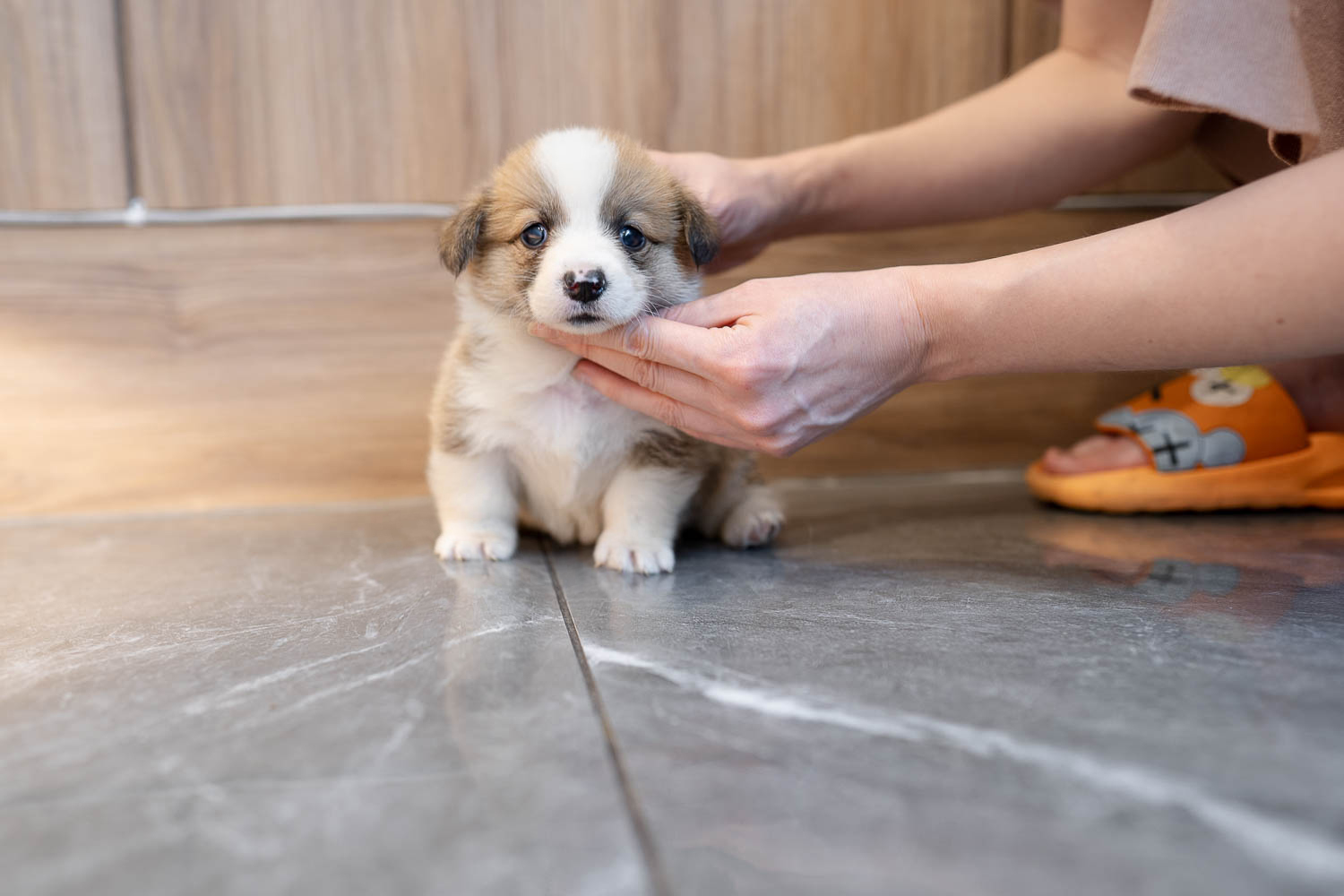 Ȯ�� �̹���