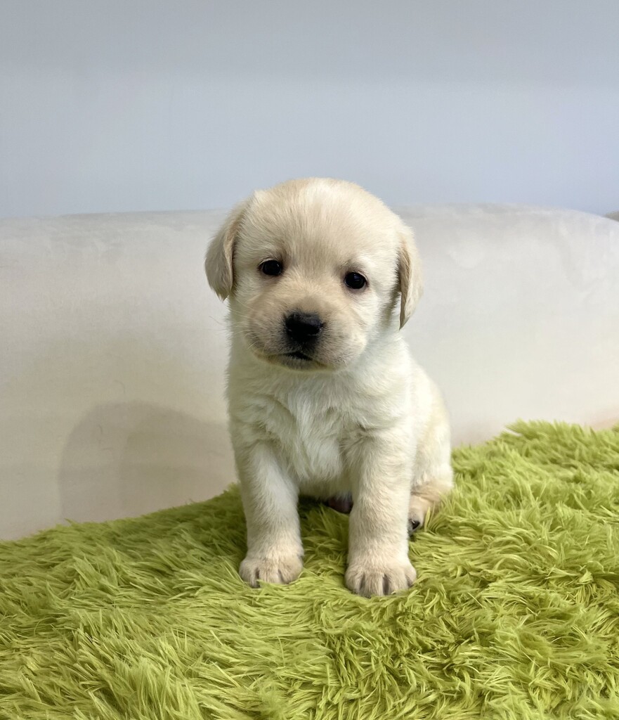 Ȯ�� �̹���