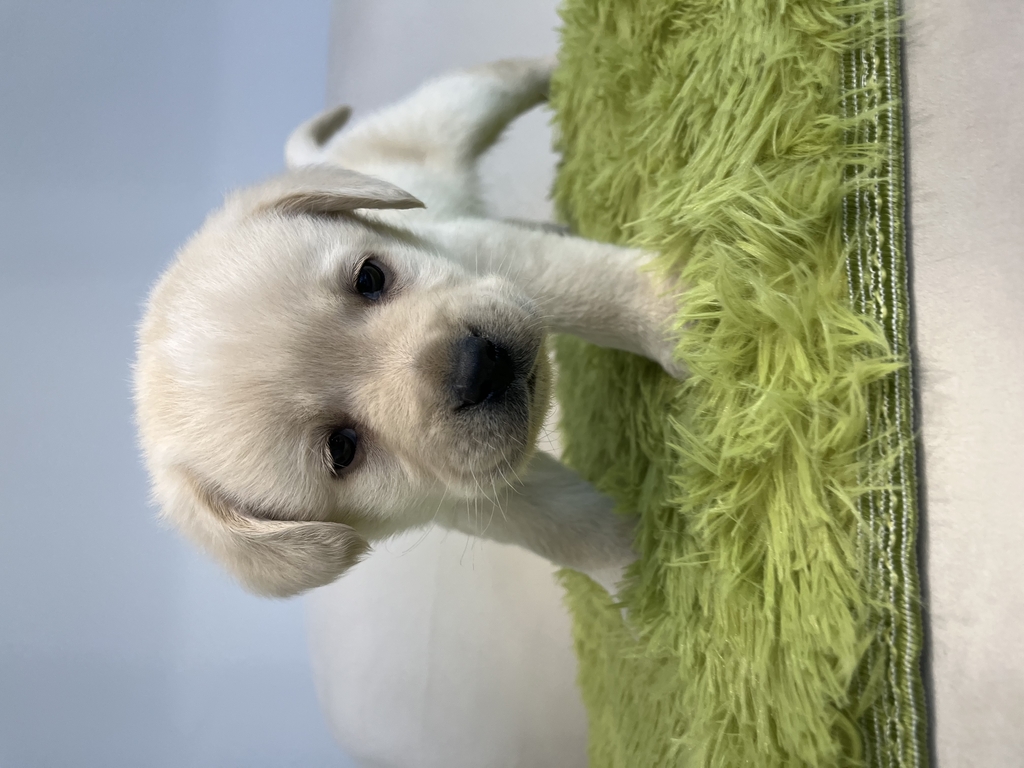 Ȯ�� �̹���