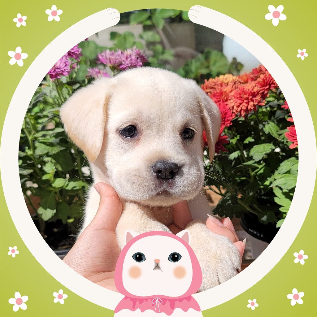 Ȯ�� �̹���